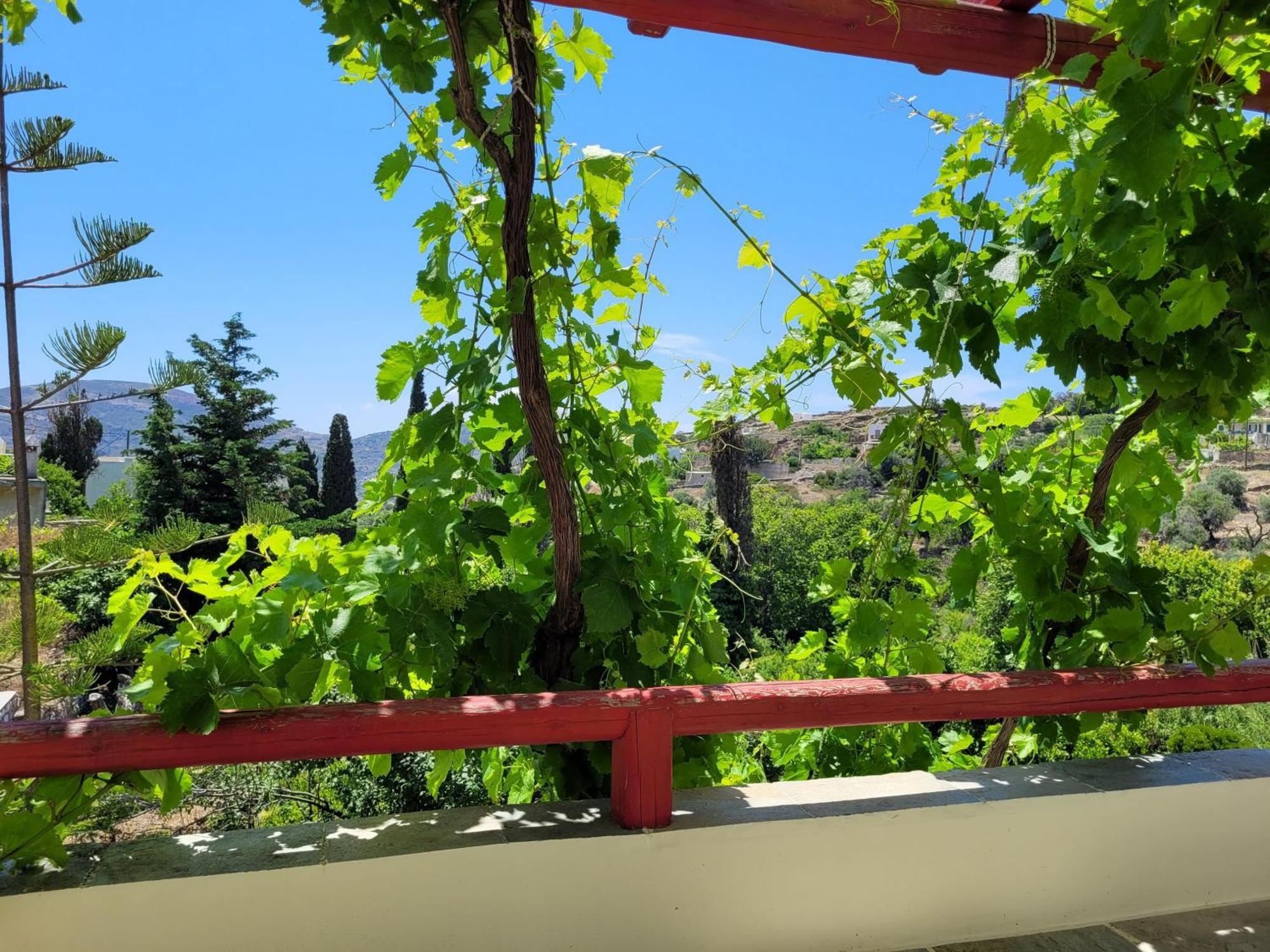Villa Matakia Ano Potamia Buitenkant foto